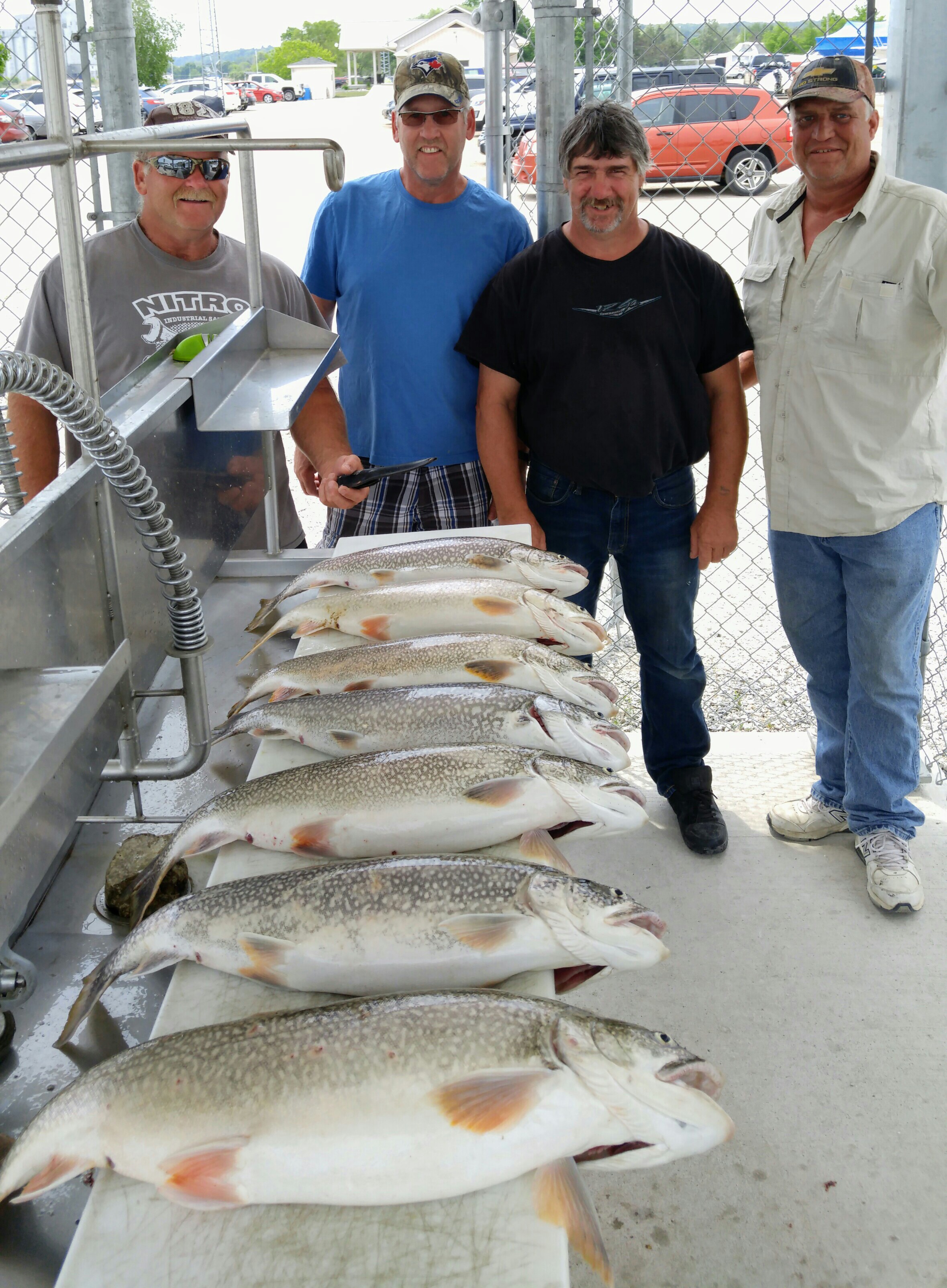 Many big lake trout